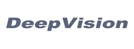 Deep Vision logo