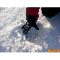 Kordil field survey and engineering project work