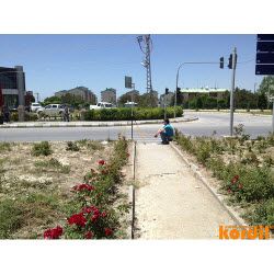 Structure and surrounding terrain documented for survey work