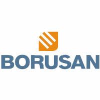 Borusan logo