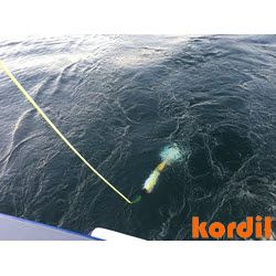 Towed marine magnetometer during a survey