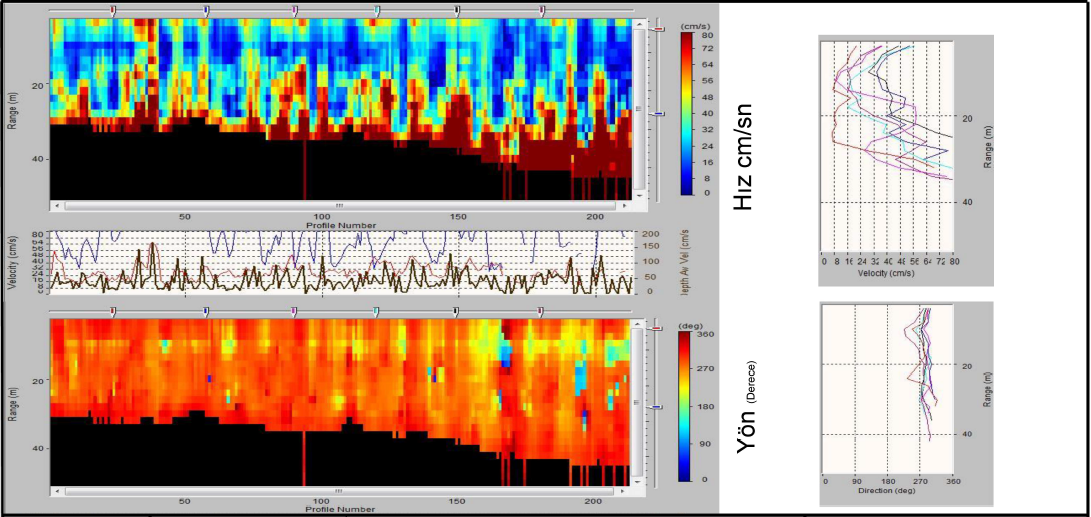 Oceanographic parameter profiles and survey data plots