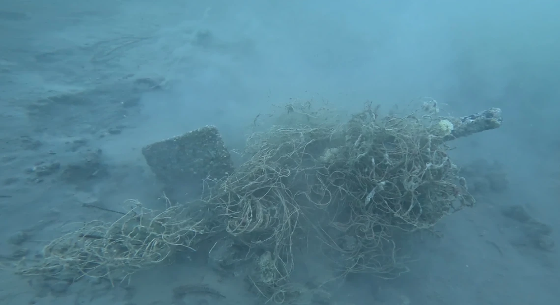 Underwater inspection of a seabed obstruction covered with marine growth